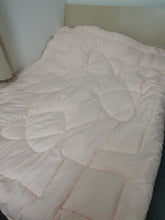 Load image into Gallery viewer, Nefelift Down comforter, all-weather quilted twin bed down comforter
