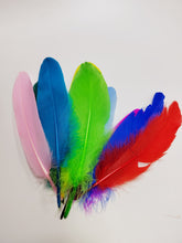 Load image into Gallery viewer, Evergreen Garlands Feathers for ornamentation,DIY natural party decorations
