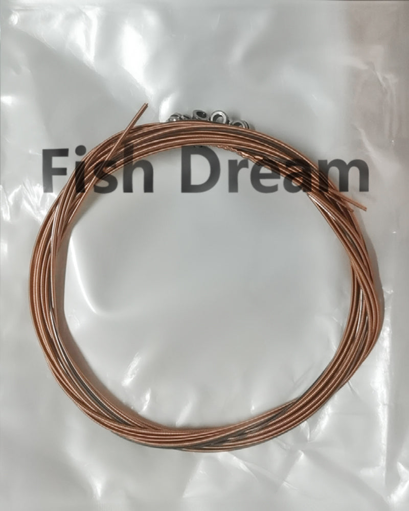 Fish Dream guitar string ,Acoustic Guitar  Strings, Light Tension – Corrosion-Resistant Rust-Prevent Brass, Offers a Bright and Well-Balanced Acoustic Tone