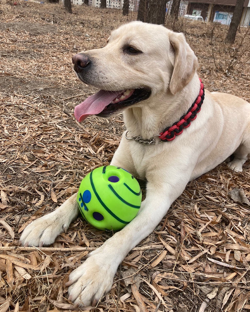 Balman pet toy ball, interactive dog toy, makes funny sounds when rolling or shaking, pets know best