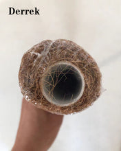 Load image into Gallery viewer, Derrek Holders for flowers and plants,Train Indoor Plants to Grow Upwards Use Plant Support Poles Individually
