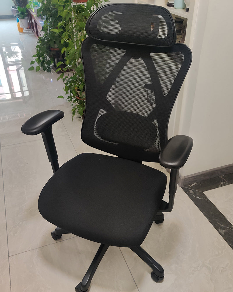 ORRVILLA Office Chair with Adjustable Lumbar Support, High-Back Mesh Desk Chair