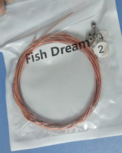 Load image into Gallery viewer, Fish Dream guitar string ,Acoustic Guitar  Strings, Light Tension – Corrosion-Resistant Rust-Prevent Brass, Offers a Bright and Well-Balanced Acoustic Tone
