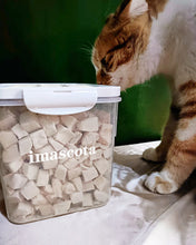 Load image into Gallery viewer, imascota Pet food, boxed kitten food, all-natural main course cat food
