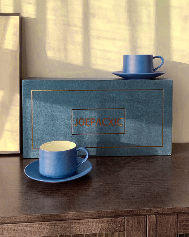 JOEPACXIC Coffee Mugs Set of 2,Modern Coffee Mugs Set With Handle For Tea,Latte