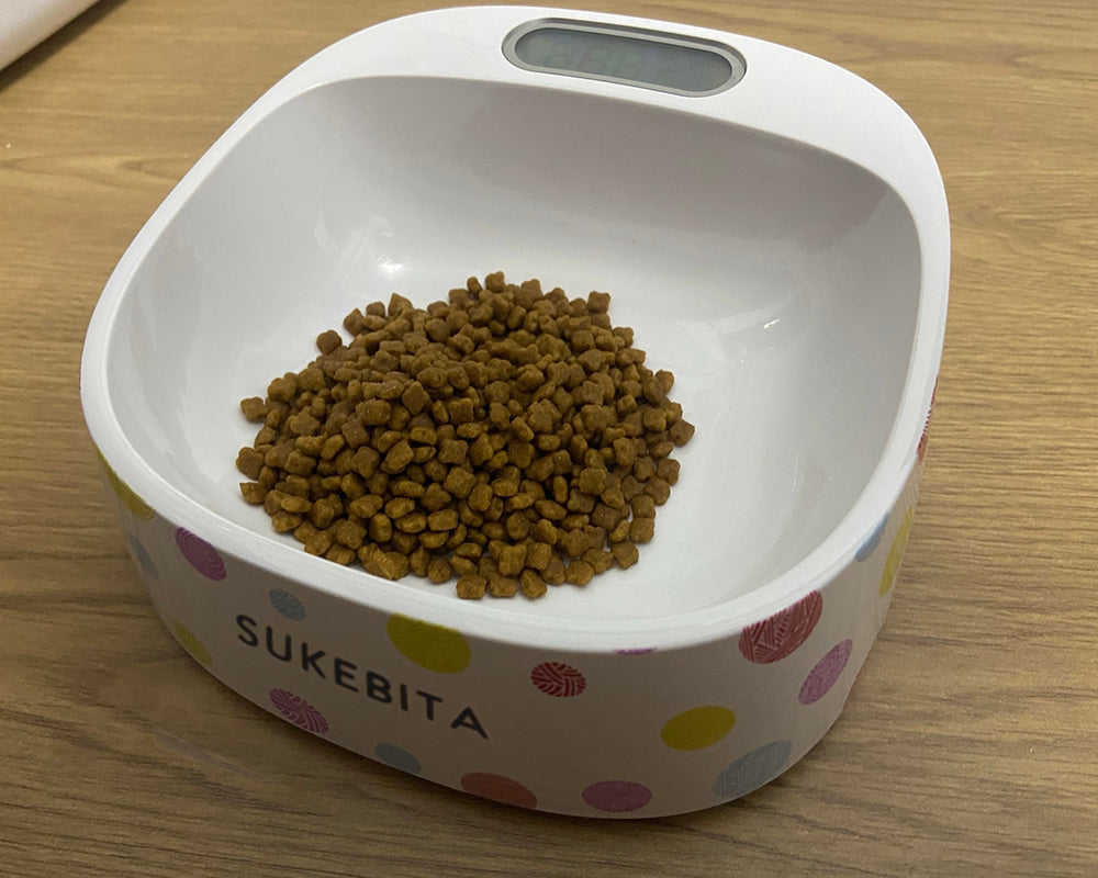 SUKEBITA pet feeding container, plastic cat bowl, cute, chew-proof