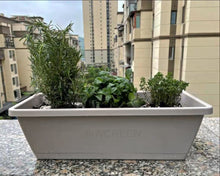 Load image into Gallery viewer, NACREEN Home Garden Planter, Plastic Window Frame Planter, 15 1/2&quot; long rectangular trough planter.
