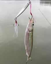 Load image into Gallery viewer, Chykidesun fishing lures,baits slow sinking hard lure fishing tackle  lifelike
