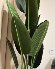 Load image into Gallery viewer, HXGYZP Nearly Natural Artificial Plant, Green
