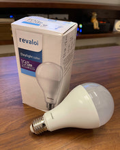 Load image into Gallery viewer, revaloi Incandescent Light Bulb, 19W A19, Dimmable, Medium Base, 160 Lumens, 2850K, Soft White
