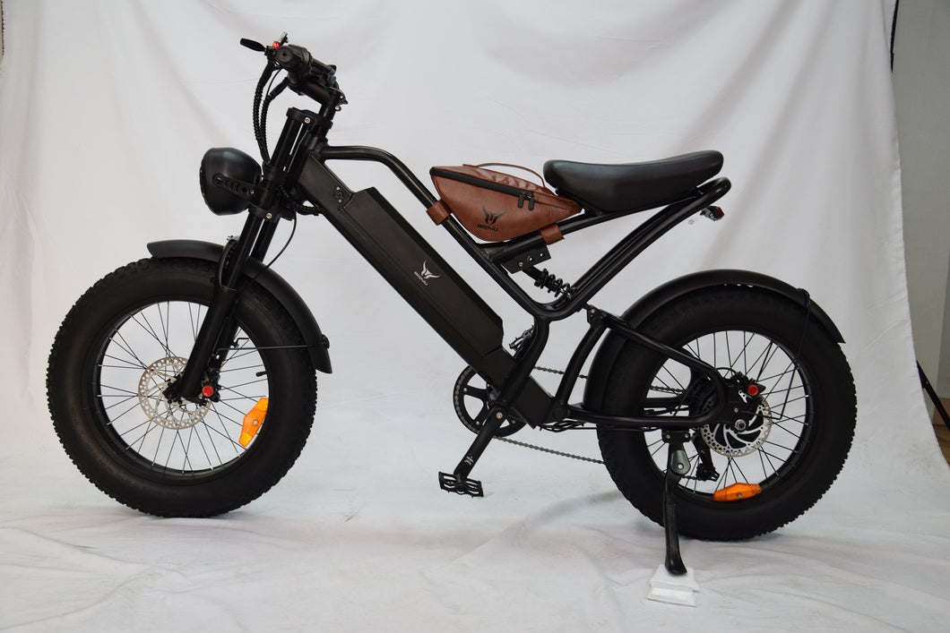 BIGNIU electric bicycle, rear wheel drive, high torque, chain drive motor