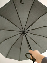 Load image into Gallery viewer, Baulkim Umbrellas, automatic umbrella, UV resistant coating folding umbrella
