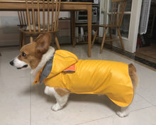 Load image into Gallery viewer, Dolamoon pet dog raincoat, waterproof and moisture-proof, small dog cloak and hooded raincoat
