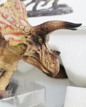 Load image into Gallery viewer, Dolamoon rubber toys, super realistic fake triceratops, children&#39;s toys, rubber dinosaur models
