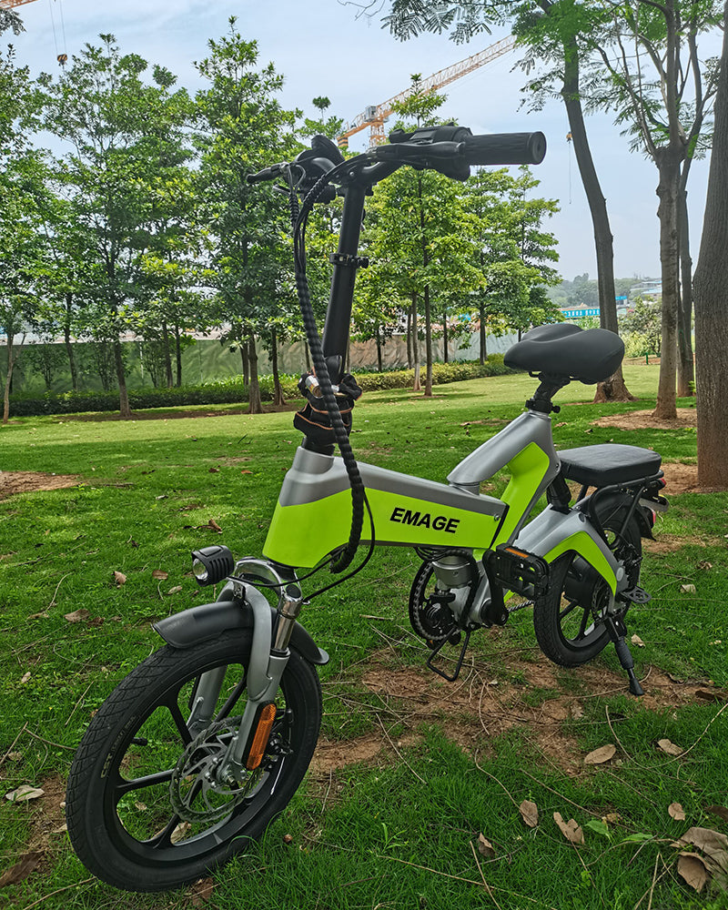 EMAGE electric bicycle 350W, 14 inch electric bicycle, 10A battery