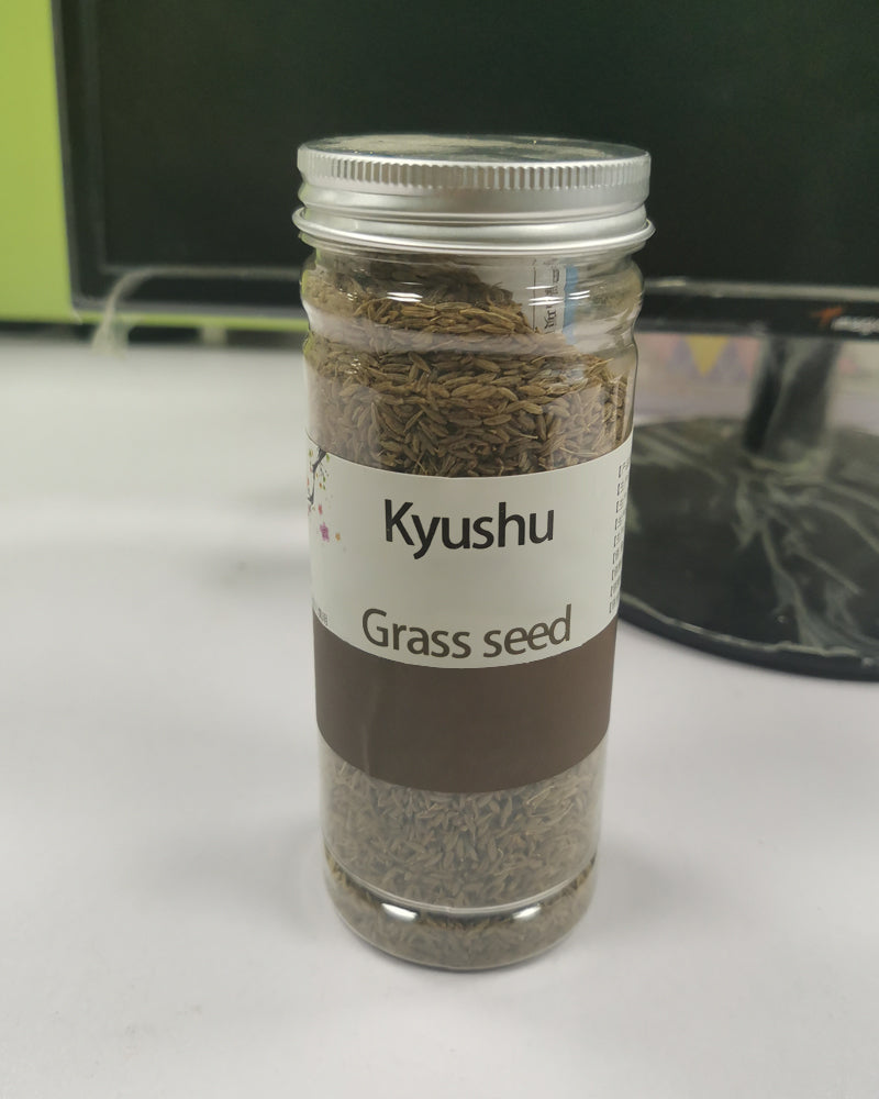 Kyushu plant seeds, planted on the soil and watered can grow, the back garden grass seeds