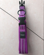 Load image into Gallery viewer, Nalgae pet collar, classic woven dog collar, personalized dog collar
