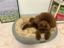 Load image into Gallery viewer, VARONGHKOO Pet cushions, plush soft anti slip pet pad
