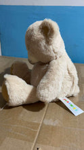 Load image into Gallery viewer, PLAYNICS plush toy, teddy bear plush animal plush toy, 15 inches
